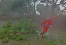 ਪੰਜਾਬ-ਹਰਿਆਣਾ ਵੱਲ ਤੁਰਿਆ Cyclone Biparjoy!: ਅਗਲੇ ਦੋ ਦਿਨ ਮੀਂਹ ਤੇ ਤੇਜ਼ ਹਵਾਵਾਂ ਦਾ ਅਲਰਟ