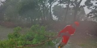 ਪੰਜਾਬ-ਹਰਿਆਣਾ ਵੱਲ ਤੁਰਿਆ Cyclone Biparjoy!: ਅਗਲੇ ਦੋ ਦਿਨ ਮੀਂਹ ਤੇ ਤੇਜ਼ ਹਵਾਵਾਂ ਦਾ ਅਲਰਟ