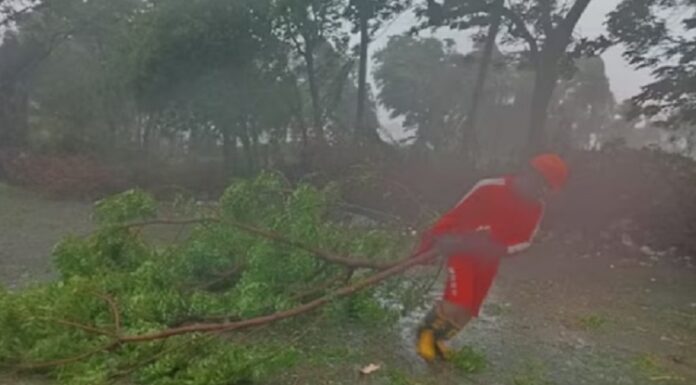 ਪੰਜਾਬ-ਹਰਿਆਣਾ ਵੱਲ ਤੁਰਿਆ Cyclone Biparjoy!: ਅਗਲੇ ਦੋ ਦਿਨ ਮੀਂਹ ਤੇ ਤੇਜ਼ ਹਵਾਵਾਂ ਦਾ ਅਲਰਟ