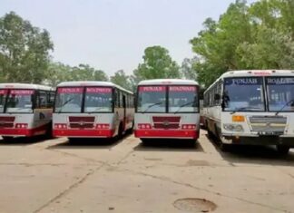ਸਰਕਾਰੀ ਬੱਸਾਂ ‘ਚ ਸਫ਼ਰ ਕਰਨ ਵਾਲਿਆਂ ਲਈ ਅਹਿਮ ਖ਼ਬਰ, ਅੱਜ ਹੜਤਾਲ ‘ਤੇ ਗਏ ਰੋਡਵੇਜ਼ ਮੁਲਾਜ਼ਮ