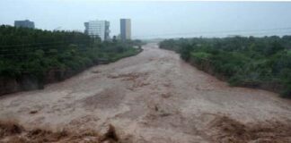 ਪੰਜਾਬ ‘ਚ ਹੜ੍ਹ ਦਾ ਅਲਰਟ! ਘੱਗਰ ਦਰਿਆ ‘ਚ ਵਧਿਆ ਪਾਣੀ ਦਾ ਪੱਧਰ, ਪ੍ਰਸ਼ਾਸਨ ਨੇ ਜਾਰੀ ਕੀਤੇ ਹੈਲਪ ਲਾਈਨ ਨੰਬਰ