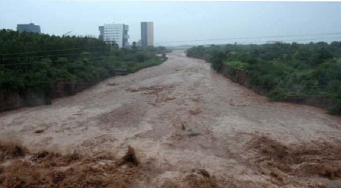 ਪੰਜਾਬ ‘ਚ ਹੜ੍ਹ ਦਾ ਅਲਰਟ! ਘੱਗਰ ਦਰਿਆ ‘ਚ ਵਧਿਆ ਪਾਣੀ ਦਾ ਪੱਧਰ, ਪ੍ਰਸ਼ਾਸਨ ਨੇ ਜਾਰੀ ਕੀਤੇ ਹੈਲਪ ਲਾਈਨ ਨੰਬਰ