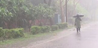 ਬਿਪਰਜੋਏ ਮਹਾਤੂਫਾਨ ਅੱਜ ਉੱਤਰੀ ਭਾਰਤ ‘ਚ ਹੋਵੇਗਾ ਦਾਖਲ : ਪੰਜਾਬ ‘ਚ ਵੀ ਯੈਲੋ ਅਲਰਟ ਜਾਰੀ