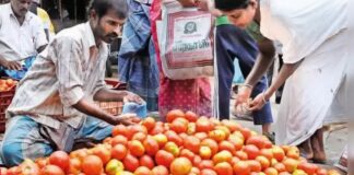 ਟਮਾਟਰ ਹੋਇਆ ਹੋਰ ‘ਲਾਲ’: ਪਿਛਲੇ ਮਹੀਨੇ 40 ਰੁਪਏ ਵਿਕਣ ਵਾਲਾ ਟਮਾਟਰ 100 ਰੁਪਏ ਕਿੱਲੋ ਹੋਇਆ!