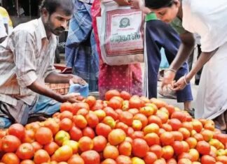 ਟਮਾਟਰ ਹੋਇਆ ਹੋਰ ‘ਲਾਲ’: ਪਿਛਲੇ ਮਹੀਨੇ 40 ਰੁਪਏ ਵਿਕਣ ਵਾਲਾ ਟਮਾਟਰ 100 ਰੁਪਏ ਕਿੱਲੋ ਹੋਇਆ!