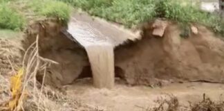 ਅਬੋਹਰ : ਮੀਂਹ ਕਾਰਨ ਸੁਖਚੈਨ ਮਾਈਨਰ ‘ਚ ਪਿਆ ਪਾੜ, 50 ਏਕੜ ਫ਼ਸਲ ਦਾ ਹੋਇਆ ਨੁਕਸਾਨ