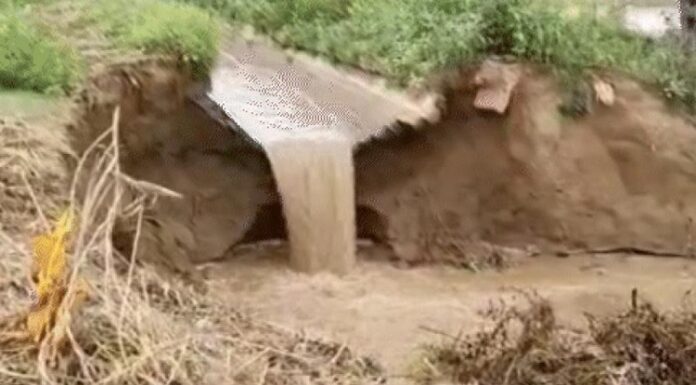 ਅਬੋਹਰ : ਮੀਂਹ ਕਾਰਨ ਸੁਖਚੈਨ ਮਾਈਨਰ ‘ਚ ਪਿਆ ਪਾੜ, 50 ਏਕੜ ਫ਼ਸਲ ਦਾ ਹੋਇਆ ਨੁਕਸਾਨ