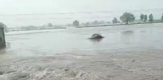 ਅਬੋਹਰ ‘ਚ ਟੁੱਟਿਆ ਮਲੂਕਪੁਰਾ ਮਾਈਨਰ, 600 ਏਕੜ ਫਸਲ ਪਾਣੀ ‘ਚ ਡੁੱਬੀ