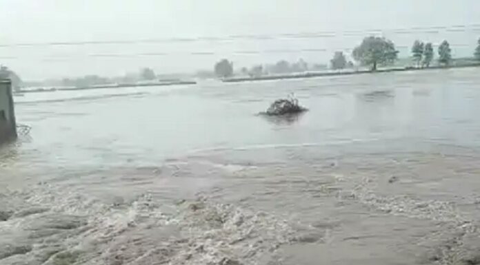 ਅਬੋਹਰ ‘ਚ ਟੁੱਟਿਆ ਮਲੂਕਪੁਰਾ ਮਾਈਨਰ, 600 ਏਕੜ ਫਸਲ ਪਾਣੀ ‘ਚ ਡੁੱਬੀ