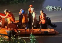 ਜਲੰਧਰ : ਪ੍ਰਸ਼ਾਸਨ ਨੇ ਘਰਾਂ ‘ਚ ਫਸੇ 34 ਲੋਕਾਂ ਨੂੰ ਸੁਰੱਖਿਅਤ ਕੱਢਣ ਲਈ ਸ਼ੁਰੂ ਕੀਤਾ ਨਾਈਟ ਰੈਸਕਿਊ ਆਪ੍ਰੇਸ਼ਨ, ਡਿਪਟੀ ਕਮਿਸ਼ਨਰ ਨੇ ਖੁਦ ਕੀਤੀ ਨਿਗਰਾਨੀ