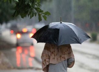 ਪੰਜਾਬ ‘ਚ 5 ਜੁਲਾਈ ਤੋਂ ਮਾਨਸੂਨ ਮੁੜ ਹੋਵੇਗਾ ਸਰਗਰਮ, ਪੜ੍ਹੋ ਪੂਰੇ ਹਫਤੇ ਦਾ ਮੌਸਮ ਅਪਡੇਟ