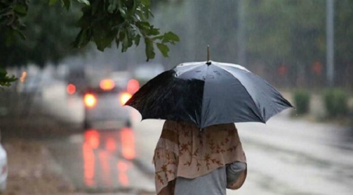 ਪੰਜਾਬ ‘ਚ 5 ਜੁਲਾਈ ਤੋਂ ਮਾਨਸੂਨ ਮੁੜ ਹੋਵੇਗਾ ਸਰਗਰਮ, ਪੜ੍ਹੋ ਪੂਰੇ ਹਫਤੇ ਦਾ ਮੌਸਮ ਅਪਡੇਟ