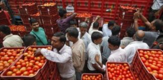 ਟੈਨਸ਼ਨ ਨਾ ਲਵੋ, ਜਲਦੀ ਘਟਣਗੇ ਟਮਾਟਰਾਂ ਦੇ ਰੇਟ, ਸਰਕਾਰ ਨੇ ਬਣਾਇਆ ਪਲਾਨ