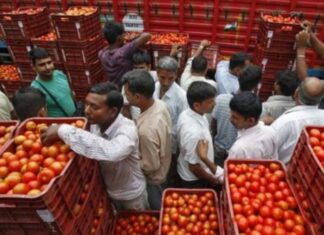 ਟੈਨਸ਼ਨ ਨਾ ਲਵੋ, ਜਲਦੀ ਘਟਣਗੇ ਟਮਾਟਰਾਂ ਦੇ ਰੇਟ, ਸਰਕਾਰ ਨੇ ਬਣਾਇਆ ਪਲਾਨ