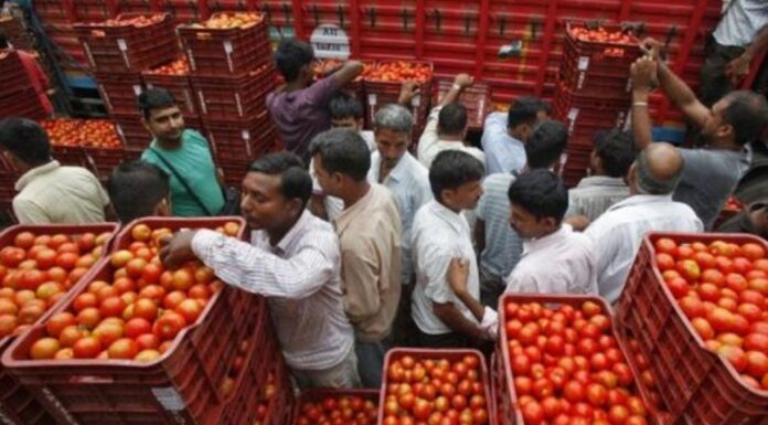 ਟੈਨਸ਼ਨ ਨਾ ਲਵੋ, ਜਲਦੀ ਘਟਣਗੇ ਟਮਾਟਰਾਂ ਦੇ ਰੇਟ, ਸਰਕਾਰ ਨੇ ਬਣਾਇਆ ਪਲਾਨ