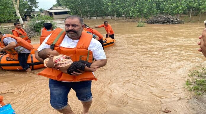 ਹੜ੍ਹ ਪੀੜਤਾਂ ਦੀ ਮਦਦ ਲਈ ਅੱਗੇ ਆਏ MP ਸੁਸ਼ੀਲ ਰਿੰਕੂ, ਪਾਣੀ ‘ਚ ਫਸੇ ਲੋਕਾਂ ਨੂੰ ਬਾਹਰ ਕੱਢਦੇ ਦਿਸੇ