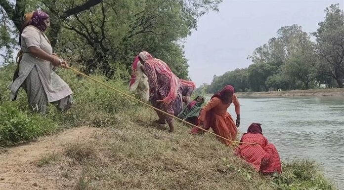 ਮਹਿਜ਼ ਤਿੰਨ ਸੌ ਰੁਪਏ ਦਿਹਾੜੀ ਲਈ ਦਾਅ ’ਤੇ ਜ਼ਿੰਦਗੀ; ਰੱਸੀ ਹੱਥੋਂ ਛੁੱਟੀ ਤਾਂ ਮੌਤ ਪੱਕੀ, ਆਜ਼ਾਦੀ ਦੇ ਐਨੇ ਸਾਲਾਂ ਪਿੱਛੋਂ ਵੀ ਸੁਰੱਖਿਆ ਰੱਬ ਆਸਰੇ