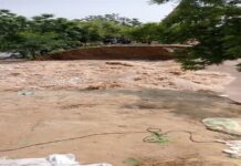 ਚਾਂਦਪੁਰਾ ਬੰਨ੍ਹ ਟੁੱਟਿਆ, ਮਾਨਸਾ ਦੇ ਲੋਕਾਂ ਦੇ ਸਾਹ ਸੂਤੇ, ਵੇਖੋ ਵੀਡੀਓ