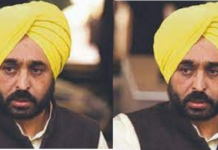 ਮਾਨ ਸਰਕਾਰ ਨੂੰ ਝਟਕਾ : ਪਟਵਾਰੀਆਂ ਦੀ ਨਿਯੁਕਤੀ ਨੂੰ ਲੈ ਕੇ ਕੋਰਟ ਨੇ ਇਕ ਸਾਲ ਪੁਰਾਣਾ ਫੈਸਲਾ ਬਦਲਿਆ