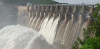 ਮੀਂਹ ਨੇ ਵਿਗਾੜੇ ਹਾਲਾਤ; ਭਾਖੜਾ ਡੈਮ ‘ਚ ਪਾਣੀ ਦਾ ਪੱਧਰ 20 ਫੁੱਟ ਵਧਿਆ, ਹਜ਼ਾਰਾਂ ਏਕੜ ਫਸਲ ਤਬਾਹ