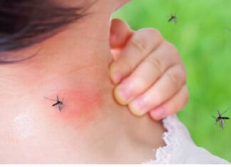 ਪੰਜਾਬ ‘ਚ ਹੜ੍ਹਾਂ ਪਿੱਛੋਂ ਡੇਂਗੂ ਦੀ ਦਹਿਸ਼ਤ: 291 ਹੋਈ ਪਾਜ਼ੇਟਿਵ ਕੇਸਾਂ ਦੀ ਗਿਣਤੀ, ਇਕ ਦੀ ਮੌ.ਤ