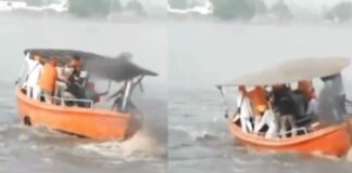 ਵਾਲ਼-ਵਾਲ਼ ਬਚੇ ਭਗਵੰਤ ਮਾਨ, ਪਾਣੀ ‘ਚ ਡਗ ਮਗਾਈ CM ਦੀ ਕਿਸ਼ਤੀ, ਲੋੜੋਂ ਵੱਧ ਹੋ ਗਏ ਸਨ ਸਵਾਰ