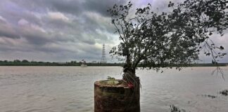 ਦਿੱਲੀ ‘ਤੇ ਵੀ ਮੰਡਰਾਏ ਹੜ੍ਹ ਦੇ ਬੱਦਲ! ਯਮੁਨਾ ਨਦੀ ਦਾ ਪਾਣੀ ਖਤਰੇ ਦੇ ਨਿਸ਼ਾਨ ਨੂੰ ਟੱਪਿਆ