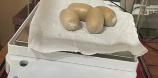 ਅੰਮ੍ਰਿਤਸਰ : ਦੁਬਈ ਤੋਂ ਆਇਆ 49 ਲੱਖ ਦਾ ਗੈਰ-ਕਾਨੂੰਨੀ ਸੋਨਾ, ਪੇਸਟ ਬਣਾ ਕੇ ਗੁਪਤ ਅੰਗ ‘ਚ ਛੁਪਾ ਕੇ ਲਿਆਂਦੇ 3 ਕੈਪਸੂਲ