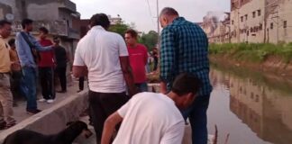 ਜਲੰਧਰ : ਬੱਲਾਂ ਡੇਰੇ ਤੋਂ ਡੀਏਵੀ ਨੂੰ ਜਾਂਦੀ ਨਹਿਰ ‘ਚ ਕਿਸੇ ਵੇਲੇ ਵੀ ਛੱਡਿਆ ਜਾ ਸਕਦੈ ਵੱਧ ਪਾਣੀ, ਕਾਲੀਆ ਕਾਲੋਨੀ ‘ਚ Red Alert