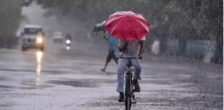 ਪੰਜਾਬ ਦੇ 3 ਜ਼ਿਲ੍ਹਿਆਂ ‘ਚ ਮੀਂਹ ਦਾ ਅਲਰਟ, ਫਾਜ਼ਿਲਕਾ ਦੇ 22 ਪਿੰਡ ਅਜੇ ਵੀ ਹੜ੍ਹ ਦੀ ਲਪੇਟ ‘ਚ