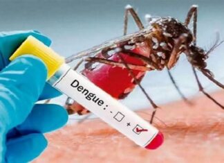 ਜਲੰਧਰ ‘ਚ ਡੇਂਗੂ ਮਾਰਨ ਲੱਗਾ ‘ਡੰਗ’, ਅਰਬਨ ਅਸਟੇਟ ਤੇ ਫਿਲੌਰ ਤੋਂ ਸਾਹਮਣੇ ਆਏ ਡੇਂਗੂ ਦੇ ਕੇਸ