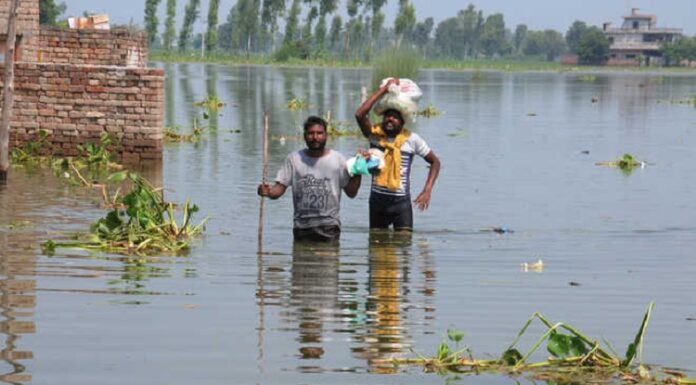 ਪੰਜਾਬ ‘ਚ ਬਣੇ ਹੜ੍ਹ ਵਰਗੇ ਹਾਲਾਤ, ਅਲਰਟ ਦੇ ਚੱਲਦਿਆਂ ਕਈ ਜ਼ਿਲ੍ਹਿਆਂ ਦੇ ਸਕੂਲ ਬੰਦ, PU ਦੇ ਪੇਪਰ ਮੁਲਤਵੀ