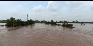 ਸਿਰਸਾ ਦੇ ਨਾਲ ਲੱਗਦੇ ਪੰਜਾਬ ਦੇ ਪਿੰਡ ਝੰਡਾ ਤੋਂ ਘੱਗਰ ਦਾ ਬੰਨ੍ਹ ਟੁੱਟਿਆ, ਲਾਗਲੇ ਕਈ ਪਿੰਡ ਡੁੱਬਣ ਦੀ ਕਗਾਰ ‘ਤੇ