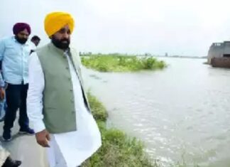 ਸਾਰੇ ਡੈਮ ਸੁਰੱਖਿਅਤ, ਪਾਣੀ ਖਤਰੇ ਦੇ ਨਿਸ਼ਾਨ ਤੋਂ ਥੱਲੇ, ਡਰਨ ਦੀ ਲੋੜ ਨਹੀਂ : CM