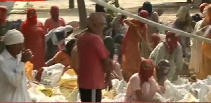 ਮਾਨਸਾ : ਘੱਗਰ ਨੂੰ ਰੋਕਣ ਲਈ ਨੈਸ਼ਨਲ ਹਾਈਵੇ ‘ਤੇ ਮਿੱਟੀ ਦੀਆਂ ਬੋਰੀਆਂ ਦਾ ਬੰਨ੍ਹ ਬਣਾ ਰਹੇ ਨੇ ਸਰਦੂਲਗੜ੍ਹ ਦੇ ਲੋਕ