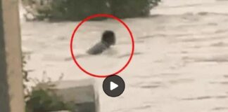 ਫਿਰੋਜ਼ਪੁਰ ‘ਚ ਨੌਜਵਾਨ ਤੇਜ਼ ਵਹਾਅ ‘ਚ ਰੁੜ੍ਹਿਆ, ਲੋਕੀਂ ਬਣਾਉਂਦੇ ਰਹੇ ਵੀਡੀਓ