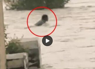 ਫਿਰੋਜ਼ਪੁਰ ‘ਚ ਨੌਜਵਾਨ ਤੇਜ਼ ਵਹਾਅ ‘ਚ ਰੁੜ੍ਹਿਆ, ਲੋਕੀਂ ਬਣਾਉਂਦੇ ਰਹੇ ਵੀਡੀਓ