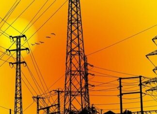 ਜਲੰਧਰ ‘ਚ ਬਿਜਲੀ ਚੋਰੀ ਕਰਨ ਵਾਲਿਆਂ ਨੂੰ 9 ਲੱਖ ਜੁਰਮਾਨਾ; ਤੜਕਸਾਰ ਫੜੇ 15 ਕੇਸ