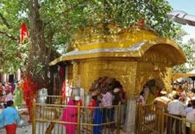 ਬ੍ਰੇਕਿੰਗ : ਮਾਤਾ ਚਿੰਤਪੂਰਨੀ ਜਾਣ ਵਾਲਿਆਂ ਲਈ ਅਹਿਮ ਖ਼ਬਰ, ਮੀਂਹ ਕਰਕੇ ਪੰਜਾਬ ਤੋਂ ਲੰਬੇ ਰੂਟ ਦੀਆਂ ਬੱਸਾਂ ਬੰਦ