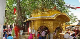 ਬ੍ਰੇਕਿੰਗ : ਮਾਤਾ ਚਿੰਤਪੂਰਨੀ ਜਾਣ ਵਾਲਿਆਂ ਲਈ ਅਹਿਮ ਖ਼ਬਰ, ਮੀਂਹ ਕਰਕੇ ਪੰਜਾਬ ਤੋਂ ਲੰਬੇ ਰੂਟ ਦੀਆਂ ਬੱਸਾਂ ਬੰਦ