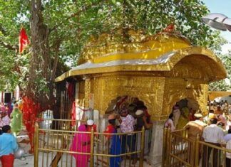 ਬ੍ਰੇਕਿੰਗ : ਮਾਤਾ ਚਿੰਤਪੂਰਨੀ ਜਾਣ ਵਾਲਿਆਂ ਲਈ ਅਹਿਮ ਖ਼ਬਰ, ਮੀਂਹ ਕਰਕੇ ਪੰਜਾਬ ਤੋਂ ਲੰਬੇ ਰੂਟ ਦੀਆਂ ਬੱਸਾਂ ਬੰਦ