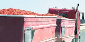 21 ਲੱਖ ਦੇ ਟਮਾਟਰਾਂ ਨਾਲ ਭਰਿਆ ਟਰੱਕ ਸਣੇ ਡਰਾਈਵਰ-ਕਲੀਨਰ ਲਾਪਤਾ, ਵਪਾਰੀ ਪਰੇਸ਼ਾਨ