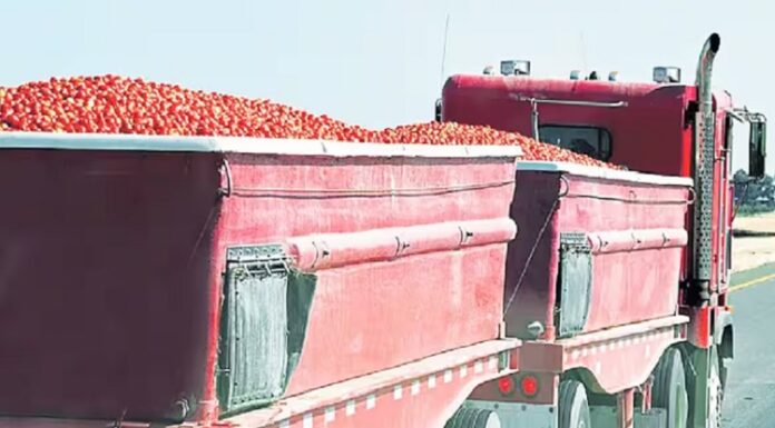 21 ਲੱਖ ਦੇ ਟਮਾਟਰਾਂ ਨਾਲ ਭਰਿਆ ਟਰੱਕ ਸਣੇ ਡਰਾਈਵਰ-ਕਲੀਨਰ ਲਾਪਤਾ, ਵਪਾਰੀ ਪਰੇਸ਼ਾਨ