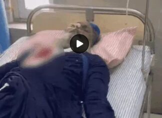 ਜਲੰਧਰ : ਬੰਦ ਦੌਰਾਨ ਕਪੂਰਥਲਾ ਚੌਕ ‘ਚ ਪ੍ਰਦਰਸ਼ਨਕਾਰੀਆਂ ‘ਤੇ ਚੜ੍ਹਾਈ ਸਕਾਰਪੀਓ, ਦੋ ਗੰਭੀਰ ਜ਼ਖਮੀ