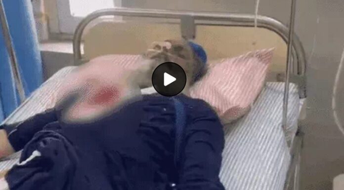 ਜਲੰਧਰ : ਬੰਦ ਦੌਰਾਨ ਕਪੂਰਥਲਾ ਚੌਕ ‘ਚ ਪ੍ਰਦਰਸ਼ਨਕਾਰੀਆਂ ‘ਤੇ ਚੜ੍ਹਾਈ ਸਕਾਰਪੀਓ, ਦੋ ਗੰਭੀਰ ਜ਼ਖਮੀ