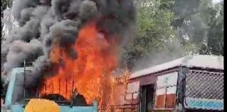 ਜਲੰਧਰ ਬੱਸ ਅੱਡੇ ‘ਤੇ ਖੜ੍ਹੀਆਂ ਸਰਕਾਰੀ ਬੱਸਾਂ ਨੂੰ ਲੱਗੀ ਅੱਗ