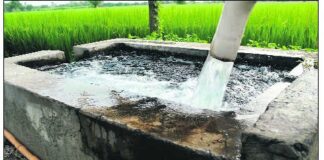 5 ਧੀਆਂ ਦੇ ਪਿਓ ਦੀ ਕਰੰਟ ਨਾਲ ਮੌਤ, ਝੋਨੇ ਨੂੰ ਪਾਣੀ ਲਾਉਣ ਗਿਆ ਸੀ ਕਿਸਾਨ