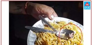 ਜਲੰਧਰ ‘ਚ ਨੂਡਲਸ ‘ਚੋਂ ਨਿਕਲਿਆ ਚੂਹਾ, ਔਰਤ ਦੀ ਵਿਗੜੀ ਸਿਹਤ, ਹੋਇਆ ਹੰਗਾਮਾ