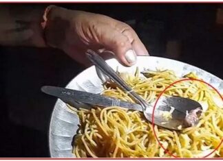 ਜਲੰਧਰ ‘ਚ ਨੂਡਲਸ ‘ਚੋਂ ਨਿਕਲਿਆ ਚੂਹਾ, ਔਰਤ ਦੀ ਵਿਗੜੀ ਸਿਹਤ, ਹੋਇਆ ਹੰਗਾਮਾ