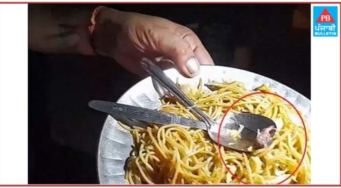 ਜਲੰਧਰ ‘ਚ ਨੂਡਲਸ ‘ਚੋਂ ਨਿਕਲਿਆ ਚੂਹਾ, ਔਰਤ ਦੀ ਵਿਗੜੀ ਸਿਹਤ, ਹੋਇਆ ਹੰਗਾਮਾ